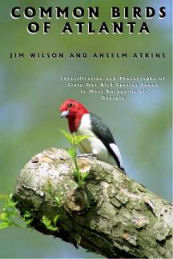 Common Birds of Atlanta by Jim Wilson